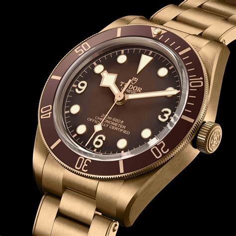 tudor bronze boutique|tudor black bay bronze price.